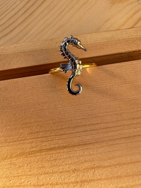 Seahorse - Image 2