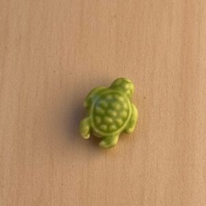 Green turtle