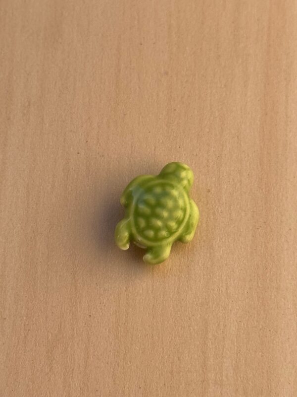 Green turtle
