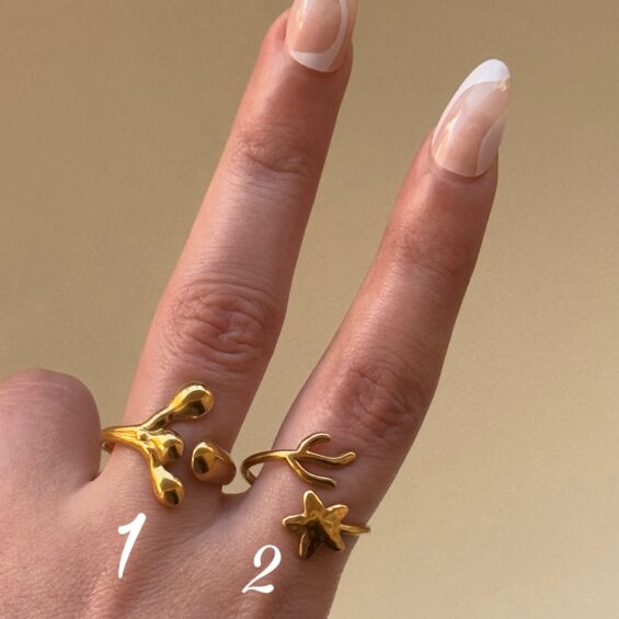 Stainless steel rings